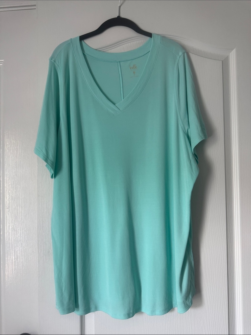 Belle by Kim Gravel Short Sleeve V-Neck Top in Mint Green Size 3X
